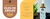 Imagem do banner rotativo 2