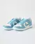 Nike Dunk University Blue