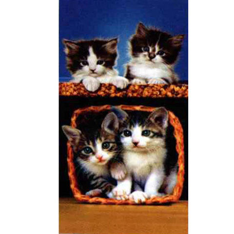 Toalha de Praia Buettner Aveludada Gatos - 70x150cm