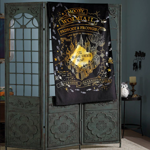 Toalha de Praia Velour Infantil Harry Potter Moony Wormtail