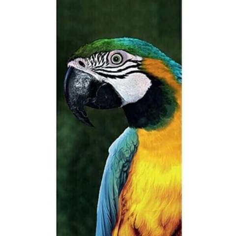 Toalha de Praia Buettner Aveludada Arara Verde Amarelo 70x150cm