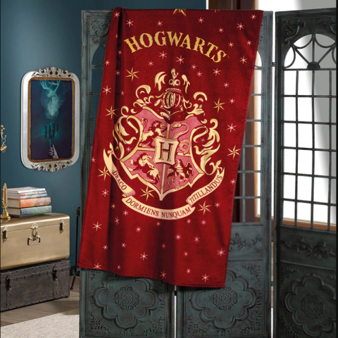 Toalha de Praia Velour Infantil Harry Potter Hogwarts