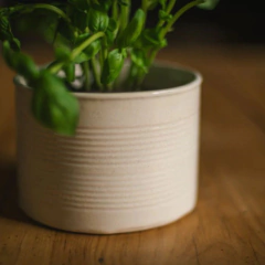 Maceta Lata - tienda online