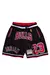 Short Chicago Bulls - #23 Black & Red Lines Season 1995/96