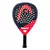 Paleta Head Radical Motion 2024 en internet