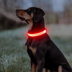 Collar para Mascotas con Luz Led -Rojo - comprar online