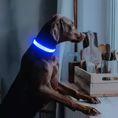 Imagen de Transportador Para Mascotas Beige + Collar para Mascotas con Luz Led -Celeste