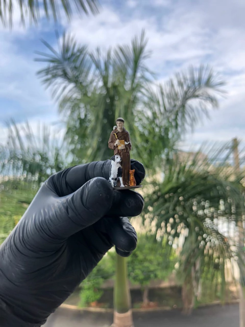 Miniatura de São Francisco - comprar online