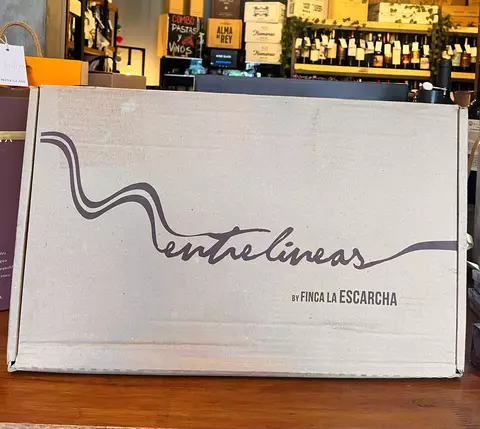 Caja de vinos x 6 unidades