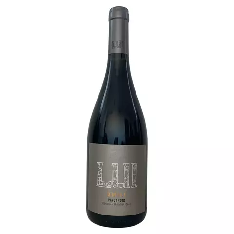 Botella de vino tinto borgoña, con etiqueta gris letras blancas y dorada