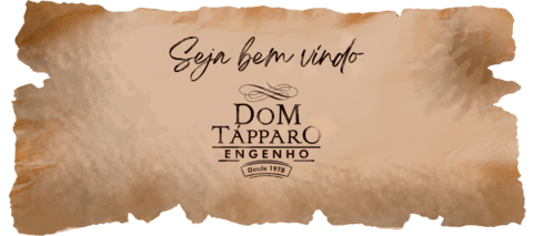 Carrusel Engenho Dom Tapparo