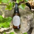 Aceite de Neem en internet