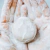 Shampoo Nutritivo Sólido en internet