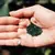 Alga Espirulina en hebras de 50gs - comprar online