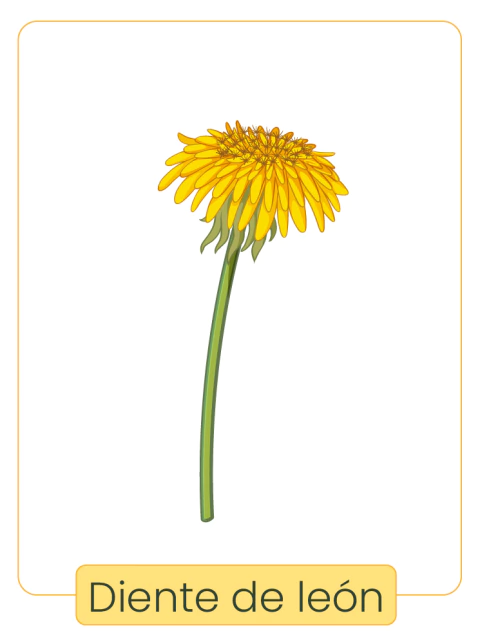 Marca 2 de TU COCINA, TU FARMACIA