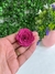 Rosa de Linho - Fuschia (UNIDADE)