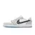 Air Jordan 1 Low Wolf Grey x Dior