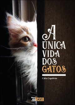 A única vida dos gatos