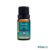 Essência Criatividade (Sensações) Via Aroma - 10ml