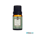 Essência Green Wood Via Aroma - 10ml