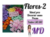Flores 2
