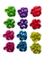 Imagem do PIRANHA FLOR PCT C/12 (CORES SORTIDAS)
