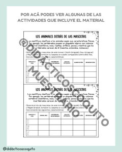 COMBO MUNDIAL - 1° Y 2° CICLO - Didacticoscoquito