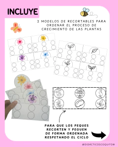 Kit: Ciclo de vida de las plantas - Ficha 0045 en internet