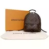 Mochila Louis Vuitton Palm Bag