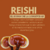 Reishi - El hongo de la longevidad - comprar online