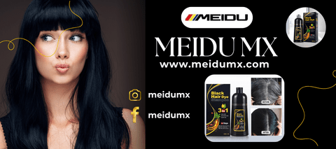 Carrusel MEIDUMX