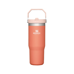 Botella Térmica Stanley Flip Straw 887 ml | Hidratación Duradera y Práctica