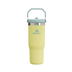 Botella Térmica Stanley Flip Straw 887 ml | Hidratación Duradera y Práctica