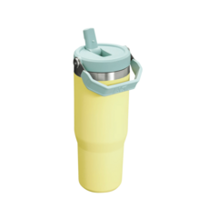 Botella Térmica Stanley Flip Straw 887 ml | Hidratación Duradera y Práctica - comprar online