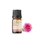 Óleo Essencial Rosa Damascena (10% Diluído) - 5 ML - comprar online