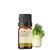 Óleo Essencial Funcho Doce puro -5 ML Aroom Health - Revenda Aroom