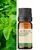 Óleo Essencial Peppermint - Puro 10 ML Aroom Health - loja online