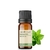 Óleo Essencial Hortelã Verde - puro 10 ML Aromm Health - Revenda Aroom