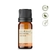 Óleo Essencial Laranja Doce - Puro 10 ML Aroom Aromaterapia - comprar online