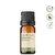 Óleo Essencial Hortelã Verde - puro 10 ML Aromm Health - comprar online