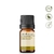 Óleo Essencial Funcho Doce puro -5 ML Aroom Health - loja online