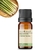 Óleo Essencial Lemongrass - puro 10 ml Aroom Health - loja online