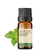 Óleo Essencial Peppermint - Puro 10 ML Aroom Health - Revenda Aroom