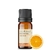 Óleo Essencial Laranja Doce - Puro 10 ML Aroom Aromaterapia - Revenda Aroom