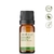 Óleo Essencial Alecrim Qt Cânfora puro - 10 ML Aroom Health - comprar online