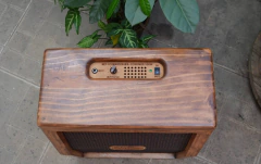 ELD POWER CABINETS MODELERS 1x12" 100W FRFR na internet