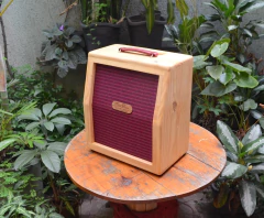 Imagem do ELD POWER CABINETS MODELERS 1x12" 100W FRFR