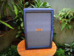ECOCAB 2x12'' VERTICAL na internet