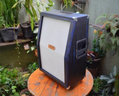 ECOCAB 2x12'' VERTICAL - comprar online