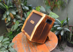 Ecocab Mini Angulado 1x12" - MET - Gabinetes e Power Amps.